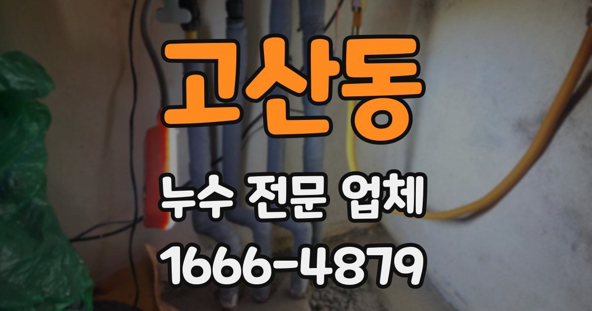 고산동 누수 전문 업체