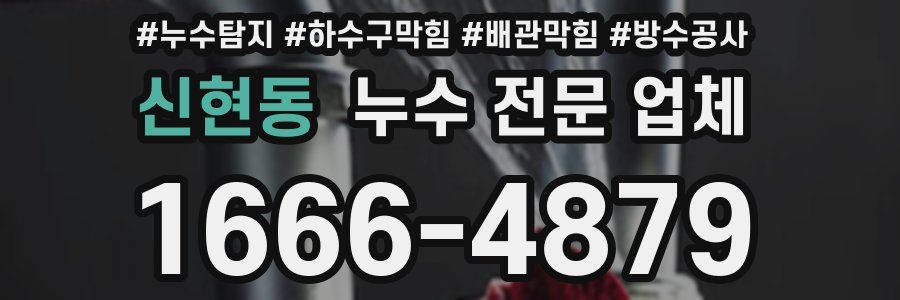 신현동 누수 전문 업체