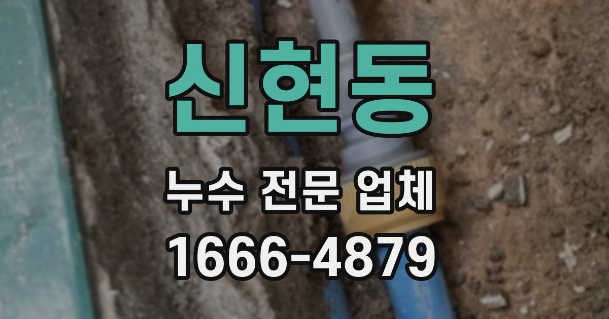 신현동 누수 전문 업체