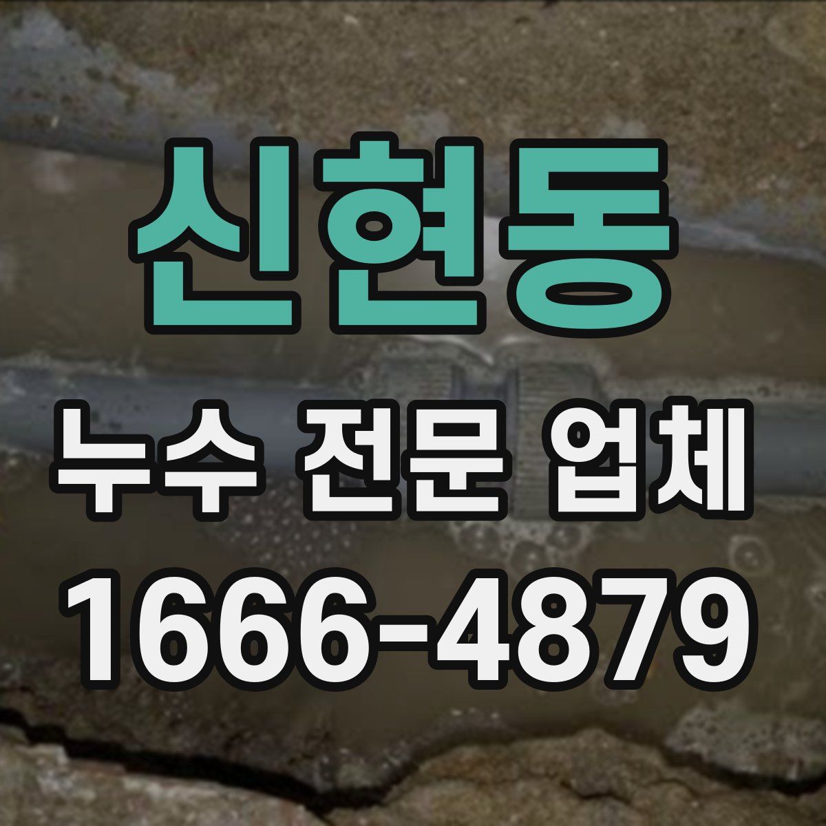 신현동 누수 전문 업체