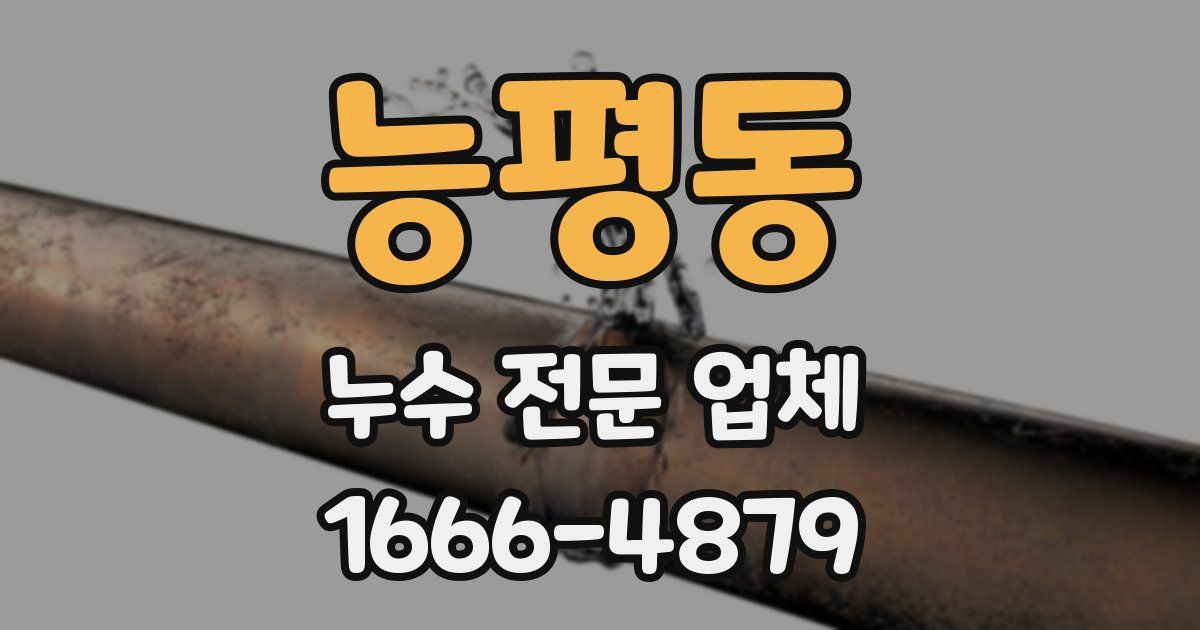 능평동 누수 전문 업체