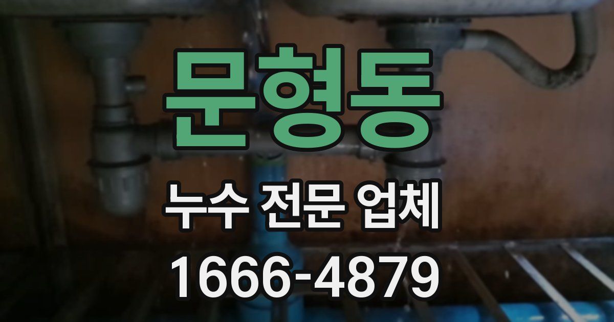 문형동 누수 전문 업체