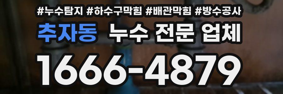 추자동 누수 전문 업체