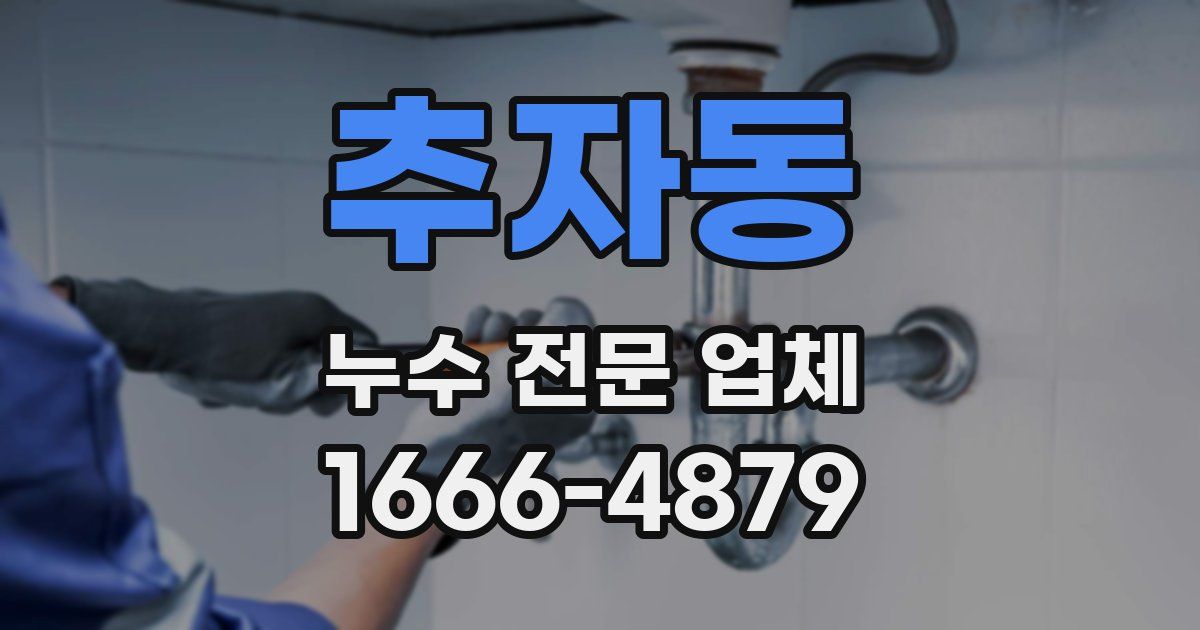 추자동 누수 전문 업체