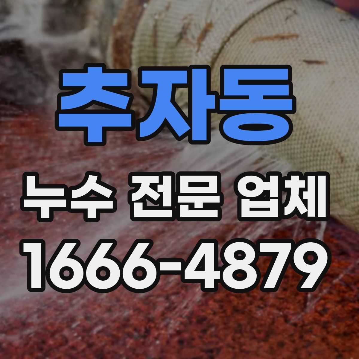 추자동 누수 전문 업체