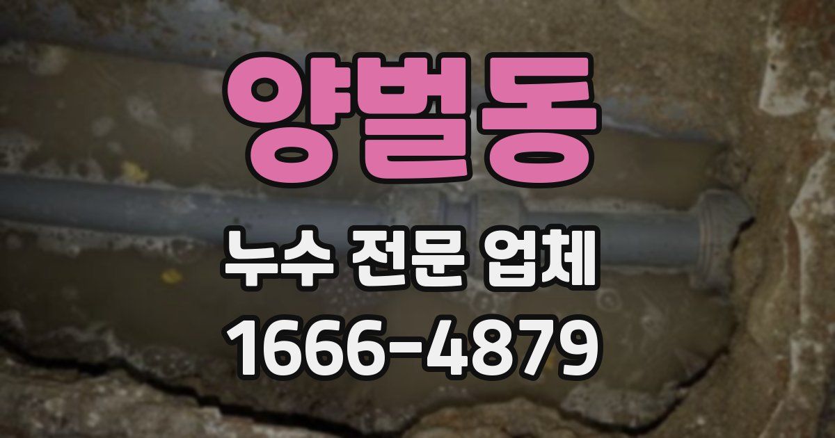 양벌동 누수 전문 업체
