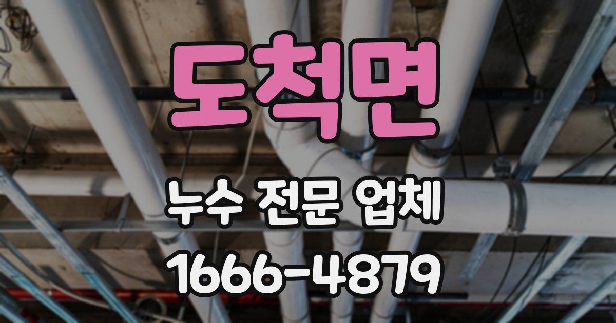 도척면 누수 전문 업체
