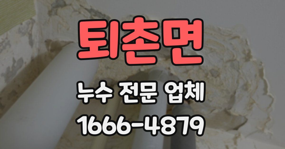 퇴촌면 누수 전문 업체
