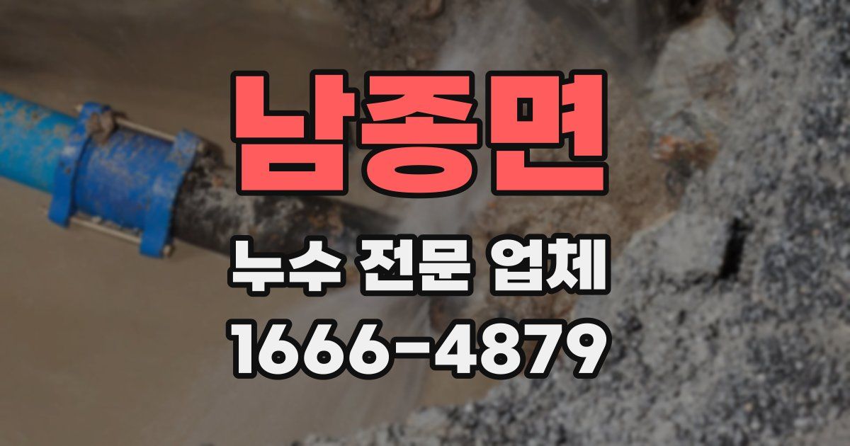남종면 누수 전문 업체