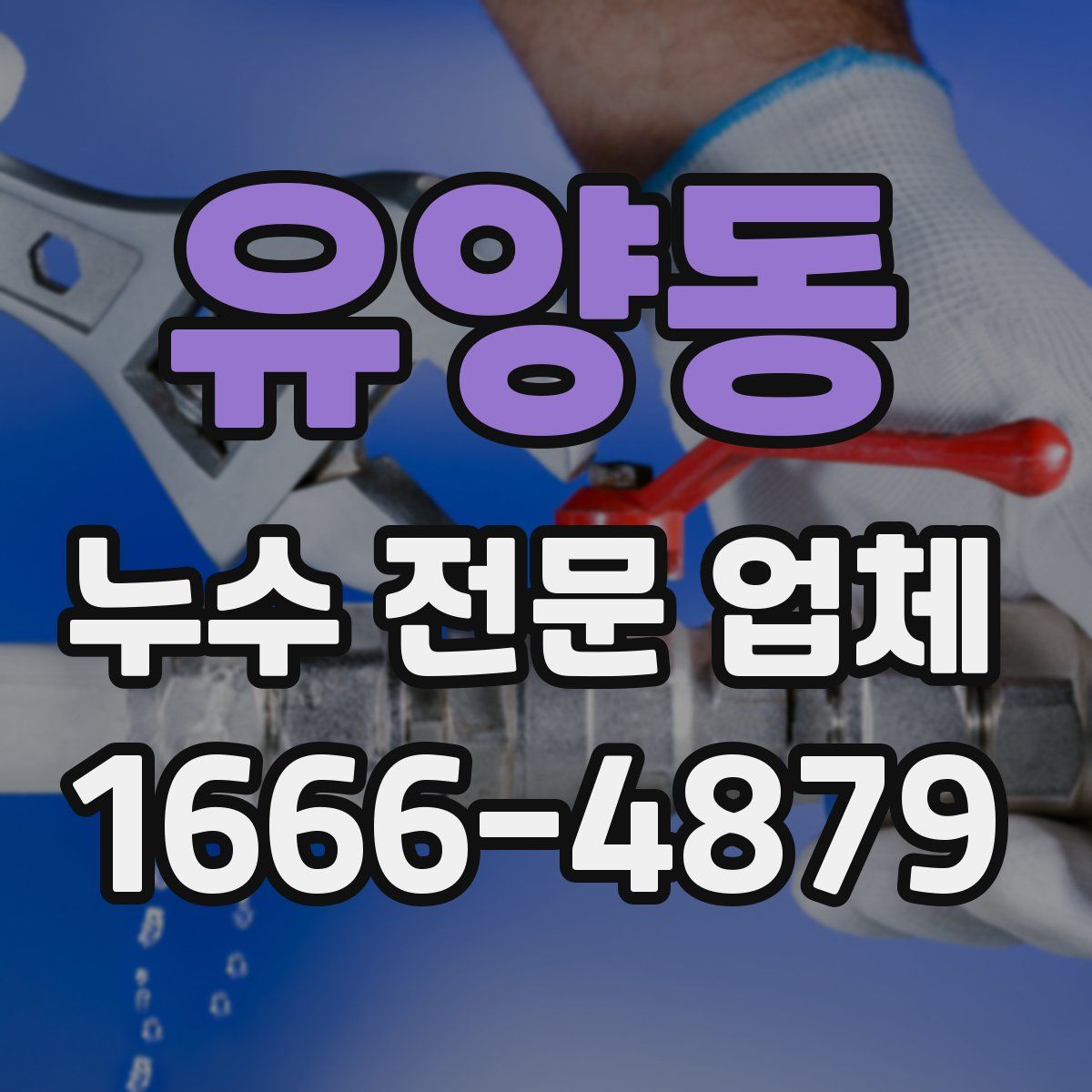 유양동 누수 전문 업체