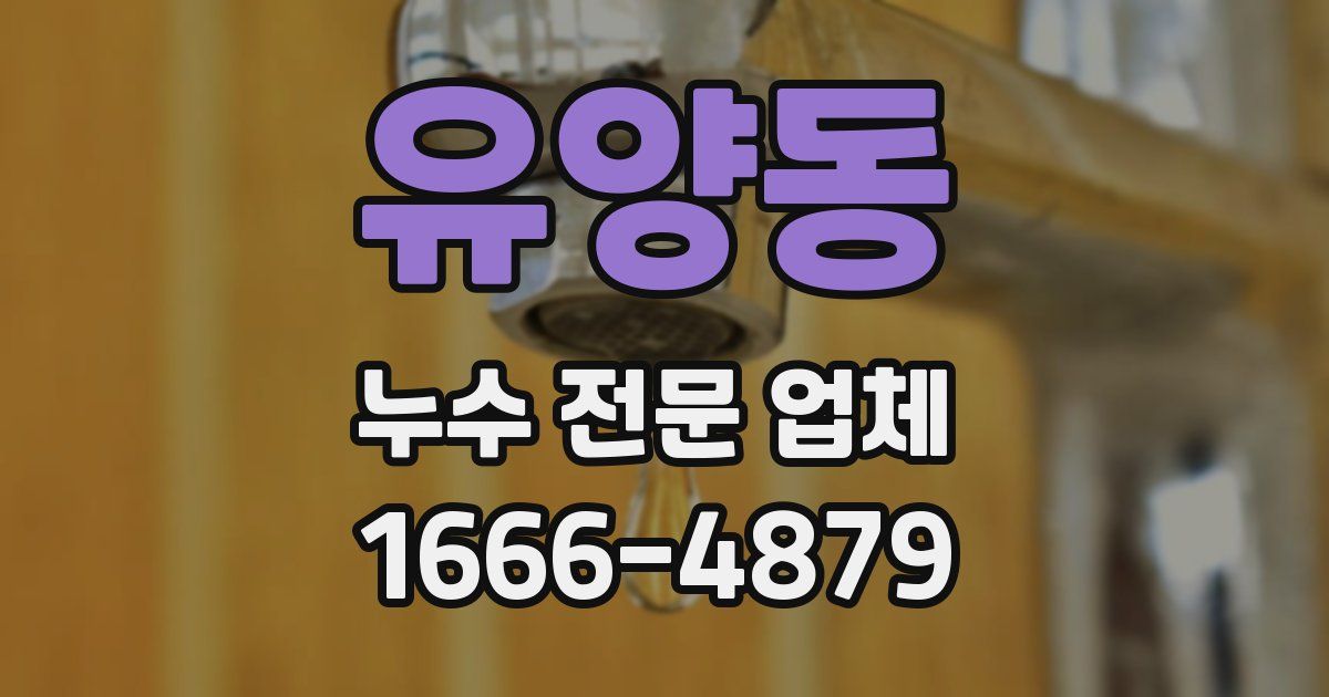 유양동 누수 전문 업체