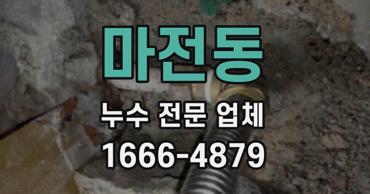 마전동 누수 전문 업체