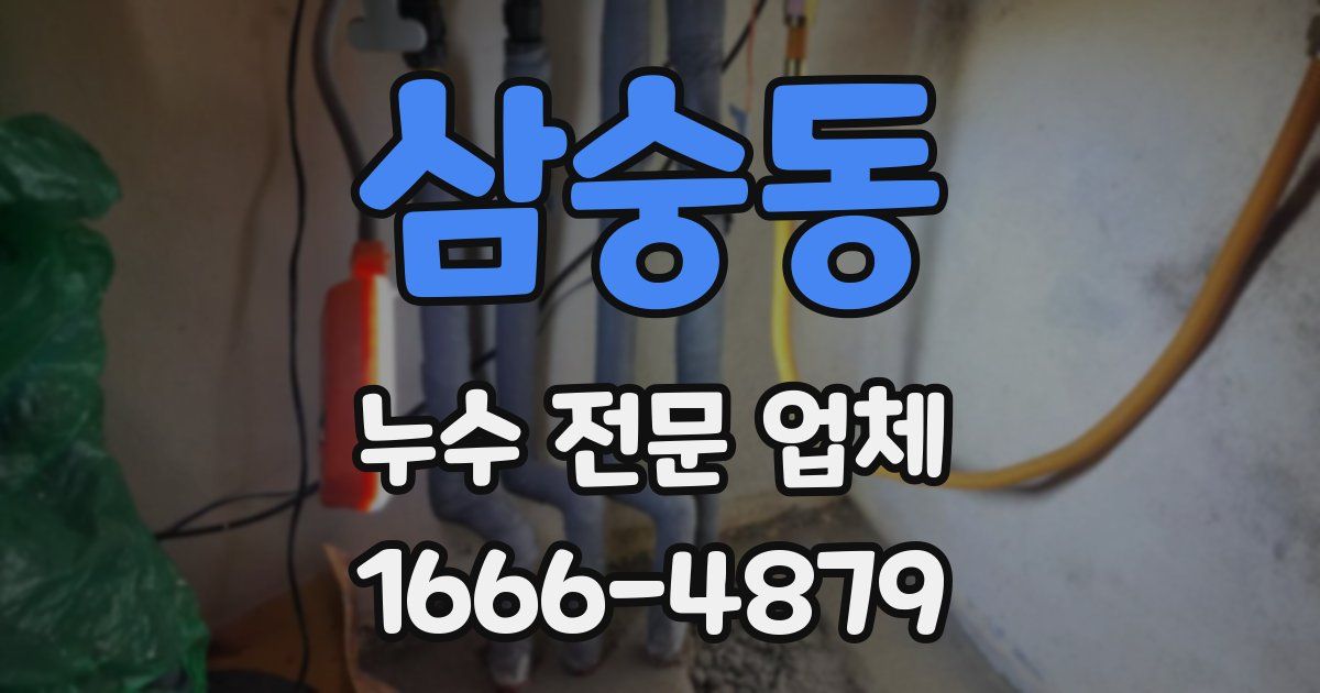 삼숭동 누수 전문 업체