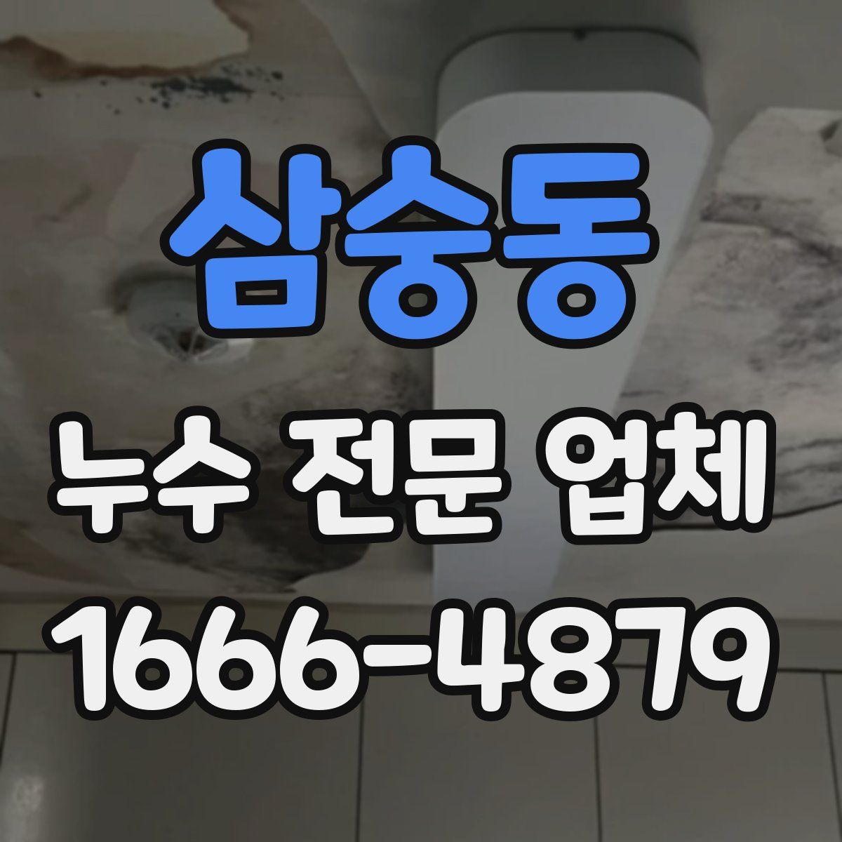삼숭동 누수 전문 업체