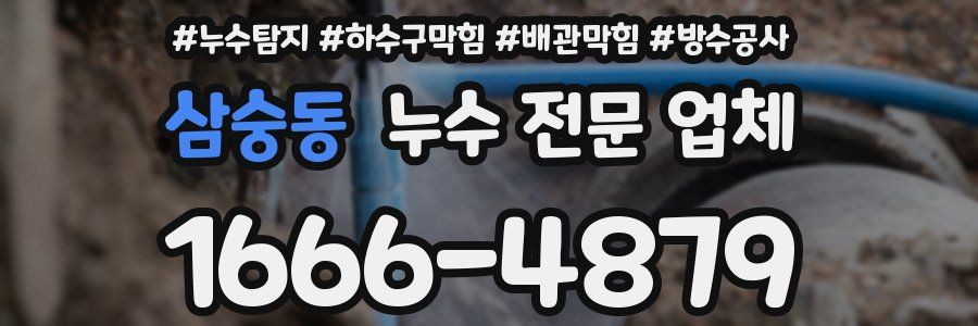 삼숭동 누수 전문 업체