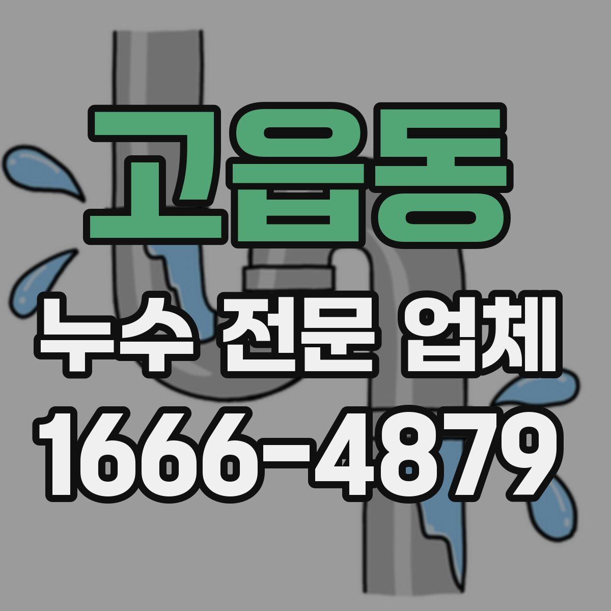 고읍동 누수 전문 업체