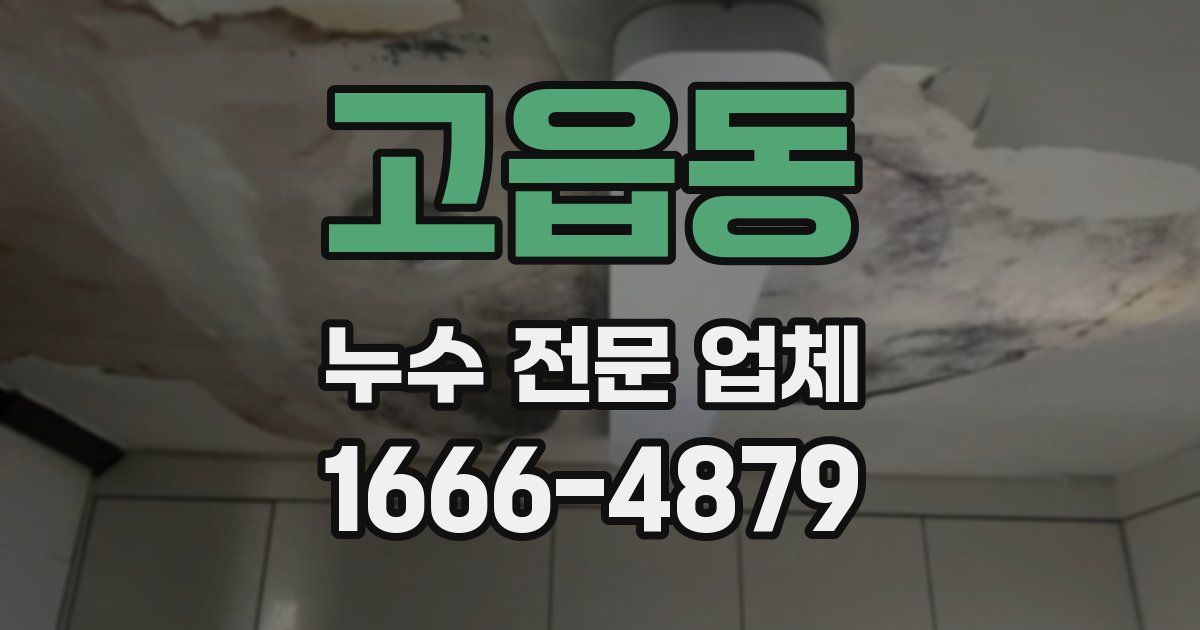 고읍동 누수 전문 업체