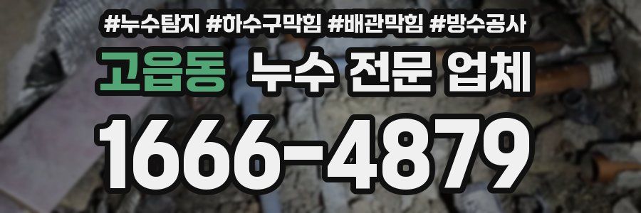 고읍동 누수 전문 업체