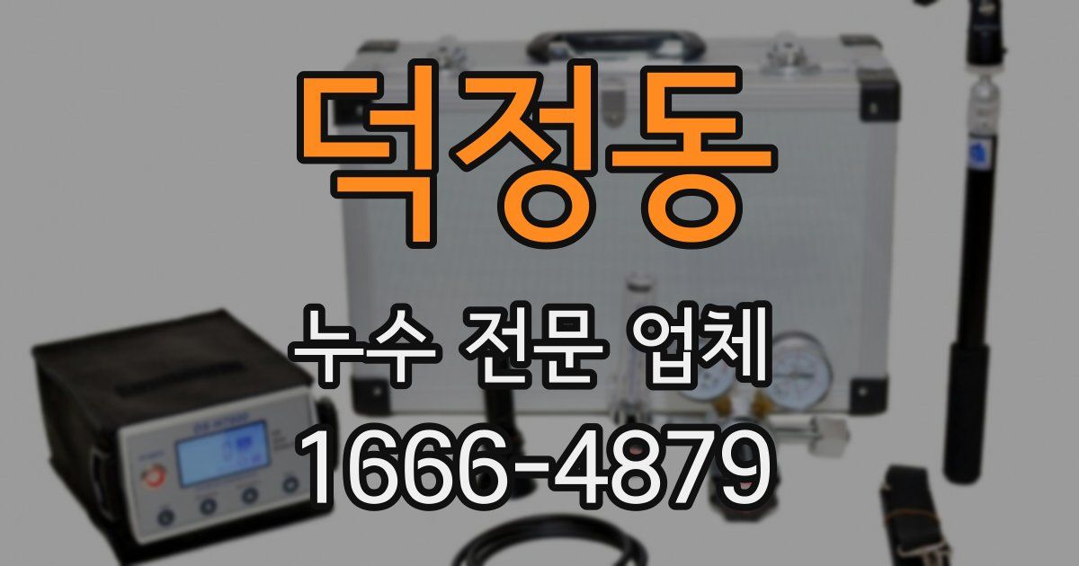 덕정동 누수 전문 업체