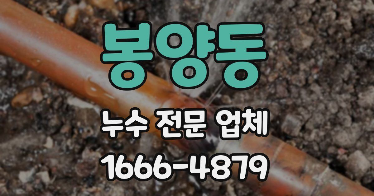 봉양동 누수 전문 업체