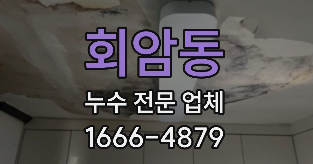 회암동 누수 전문 업체