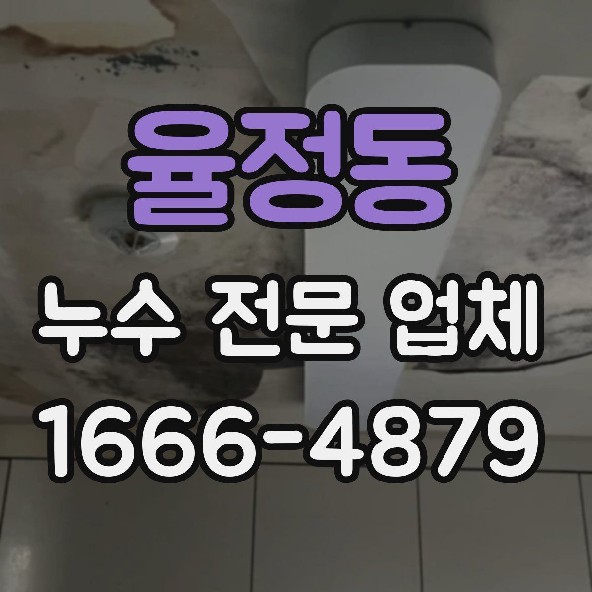 율정동 누수 전문 업체