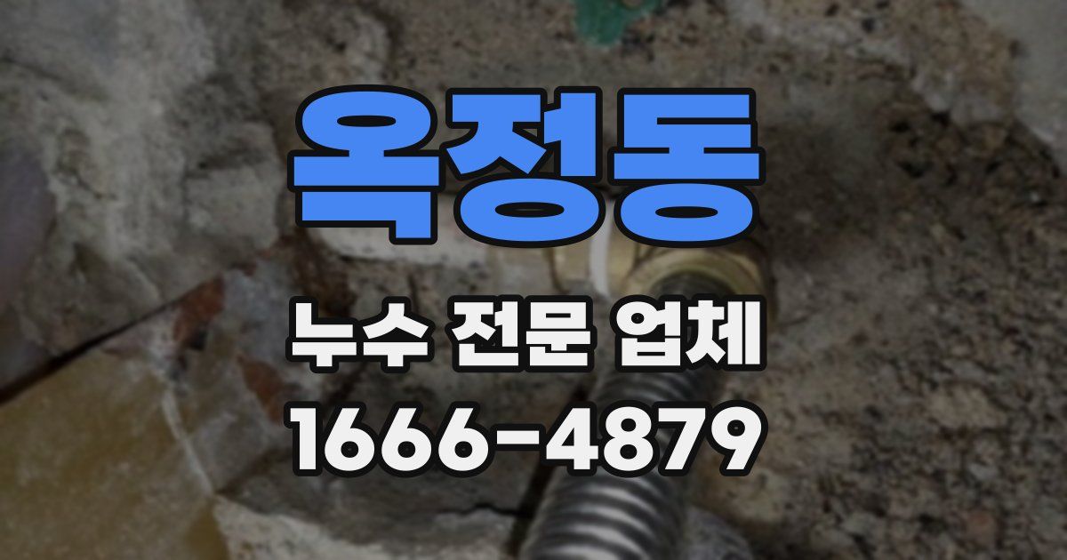 옥정동 누수 전문 업체