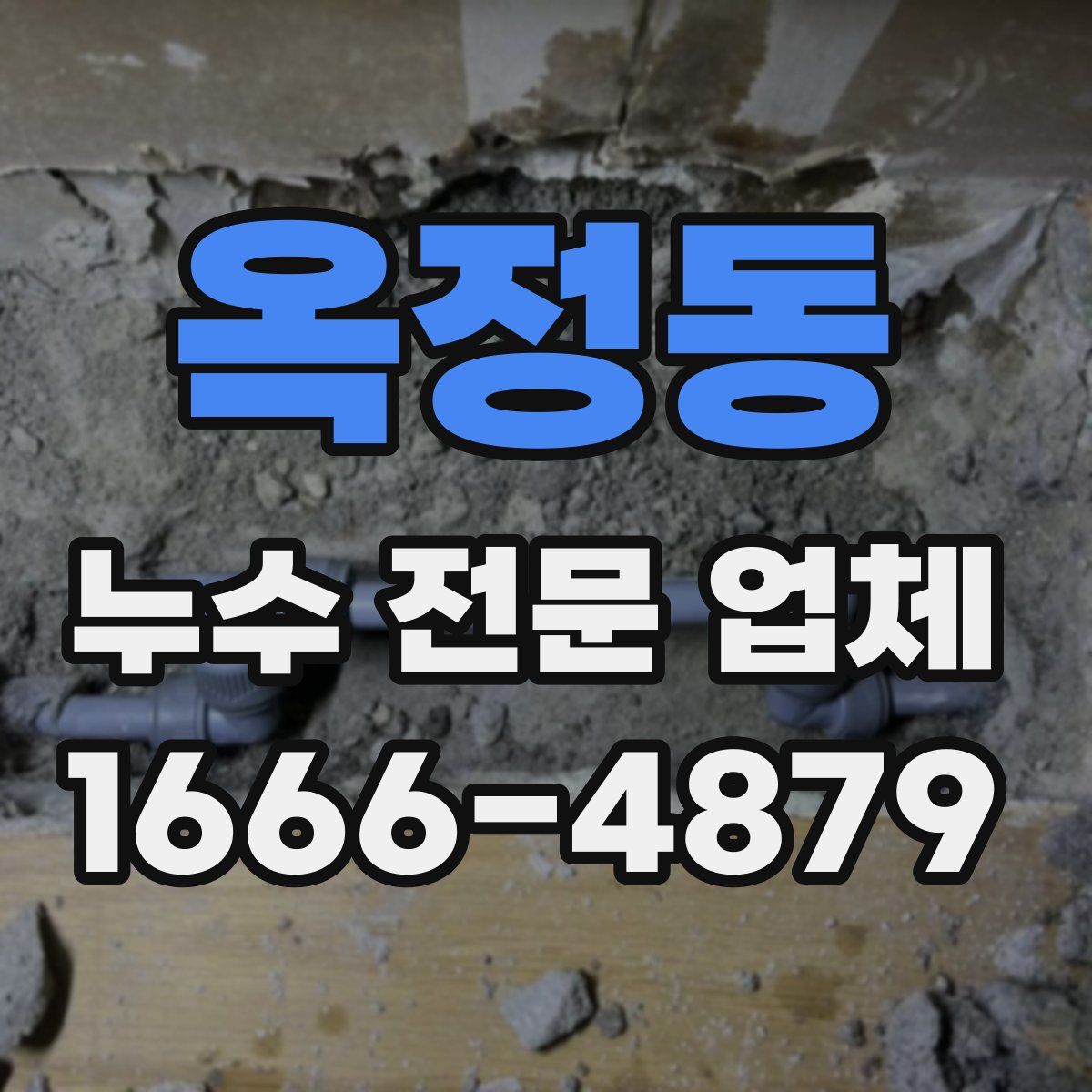 옥정동 누수 전문 업체