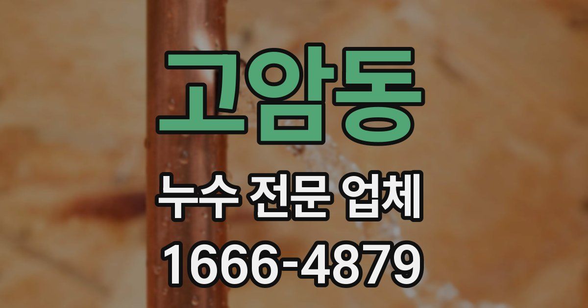 고암동 누수 전문 업체