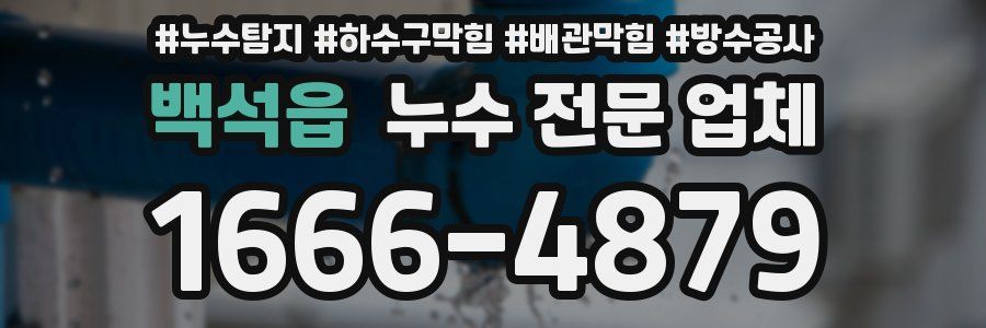백석읍 누수 전문 업체
