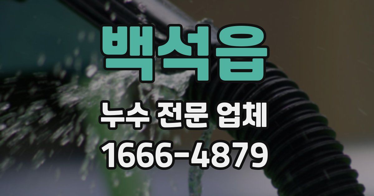 백석읍 누수 전문 업체