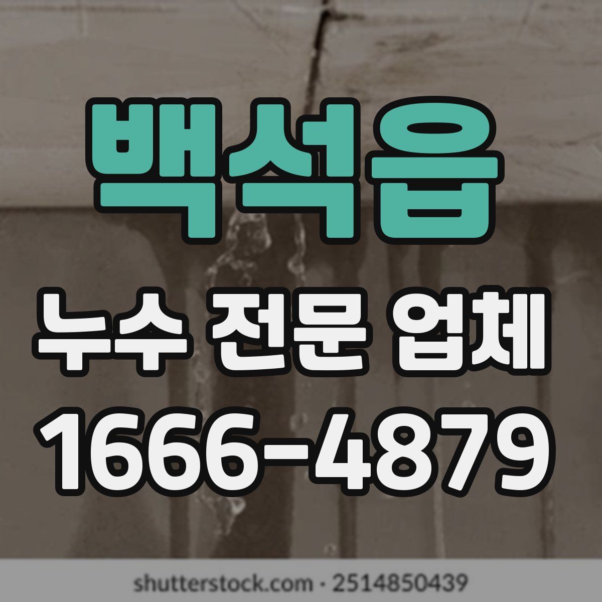 백석읍 누수 전문 업체