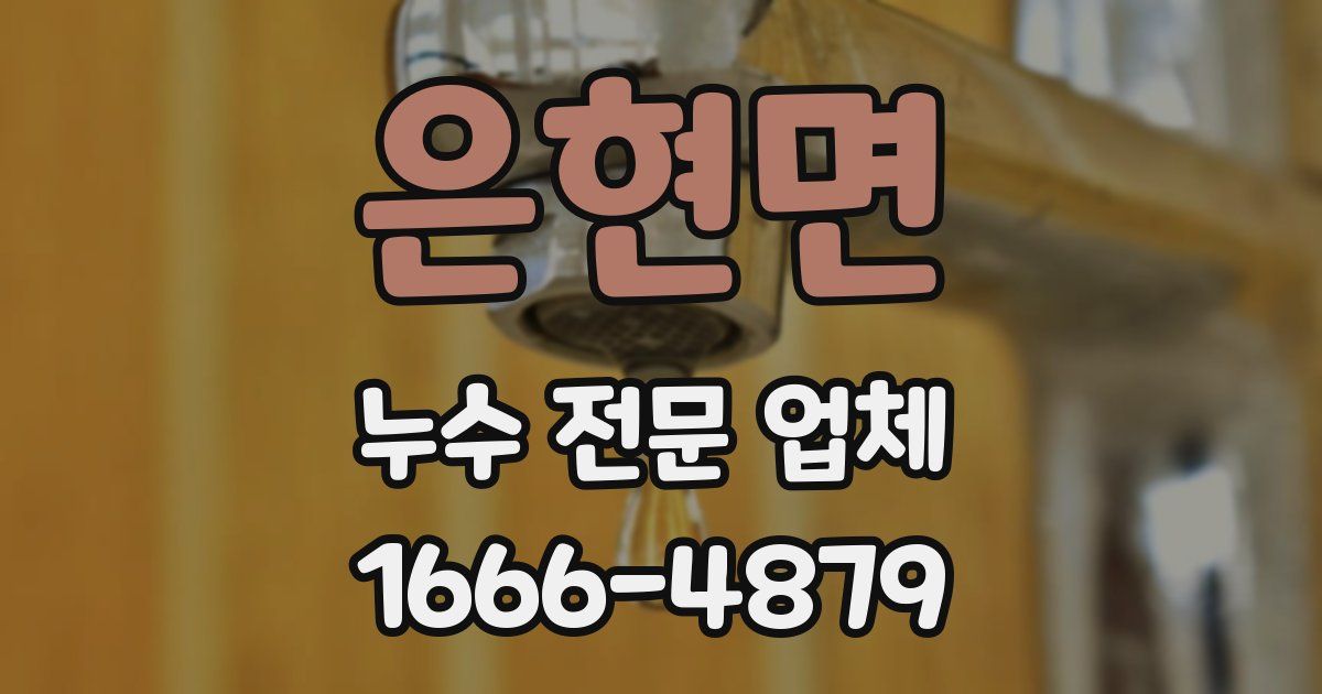 은현면 누수 전문 업체
