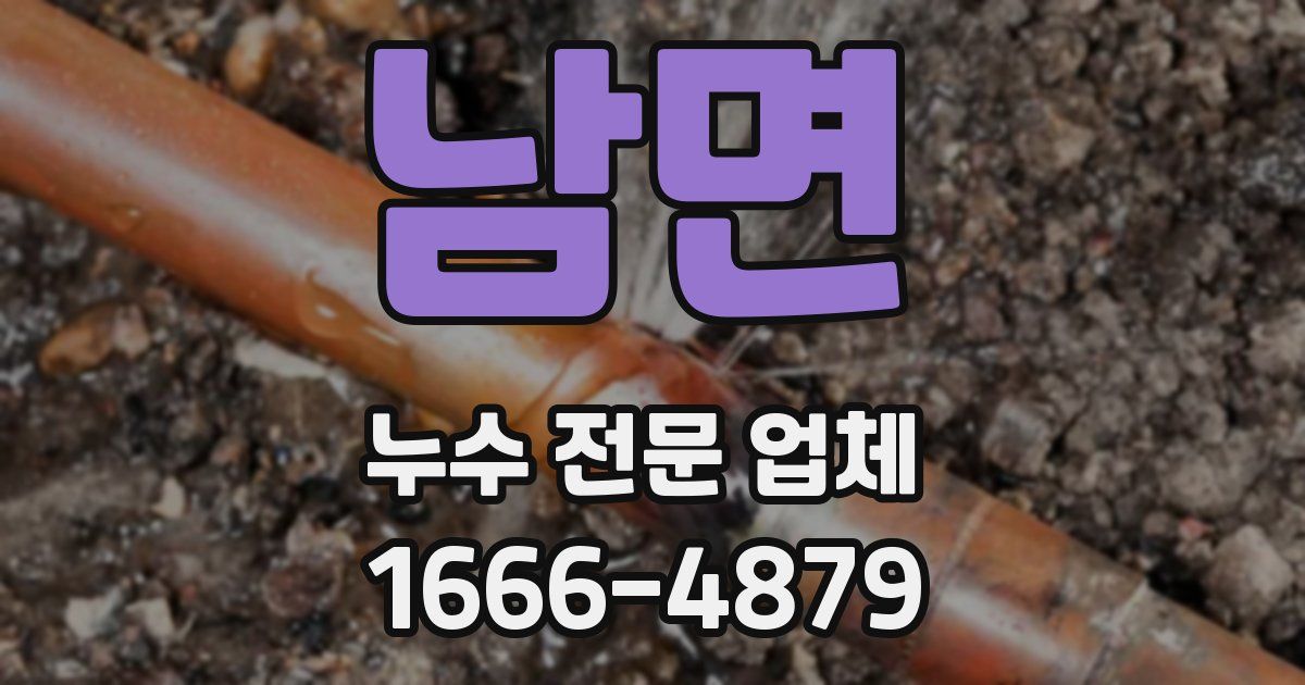 남면 누수 전문 업체