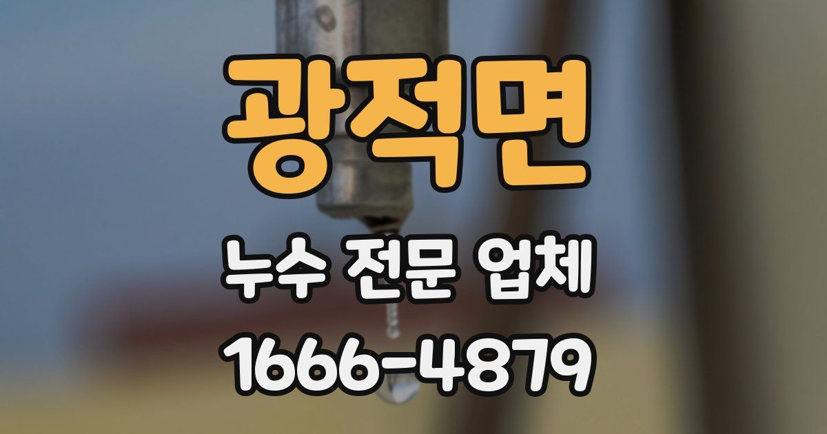 광적면 누수 전문 업체