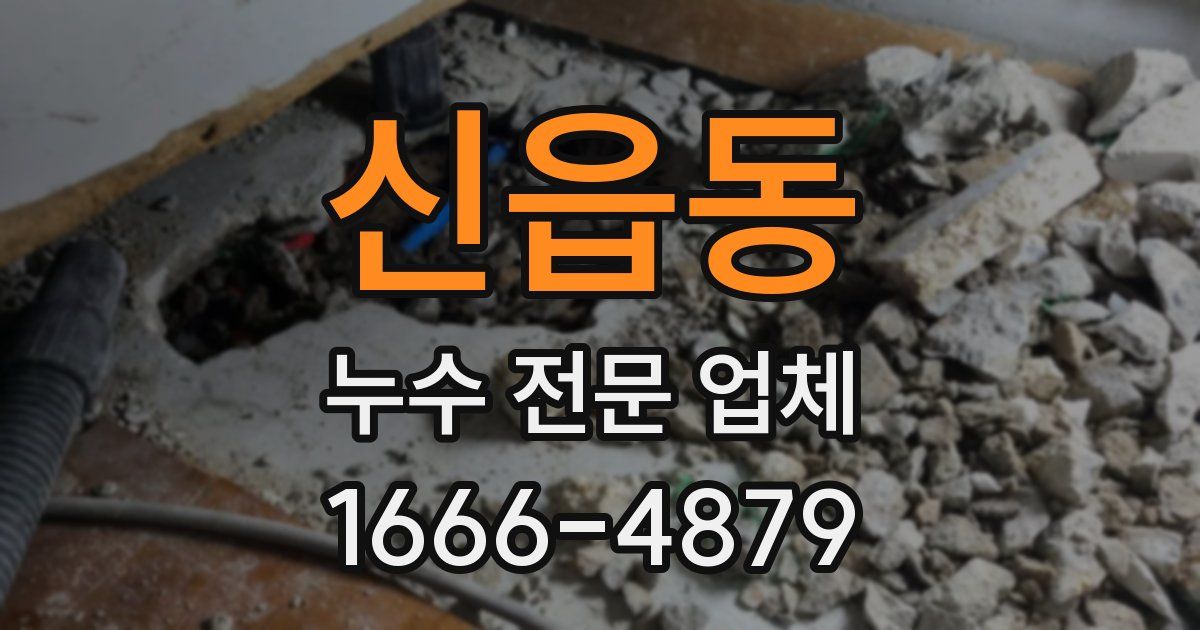 신읍동 누수 전문 업체
