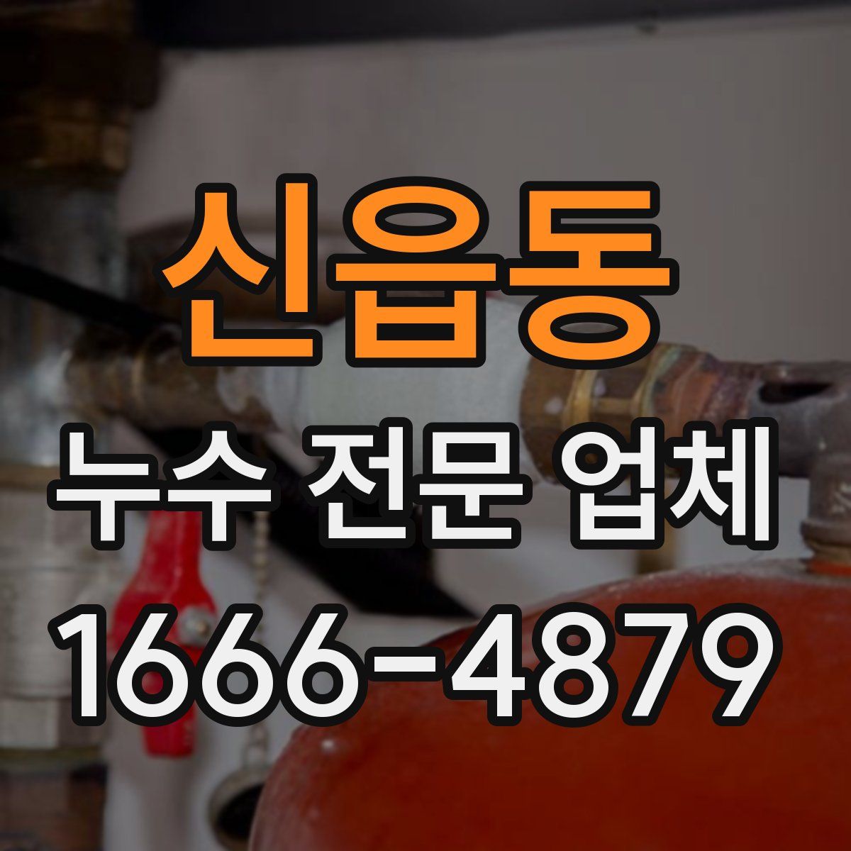 신읍동 누수 전문 업체