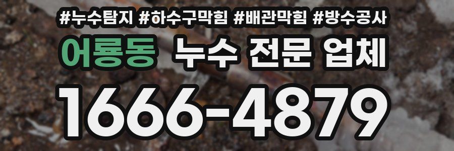 어룡동 누수 전문 업체