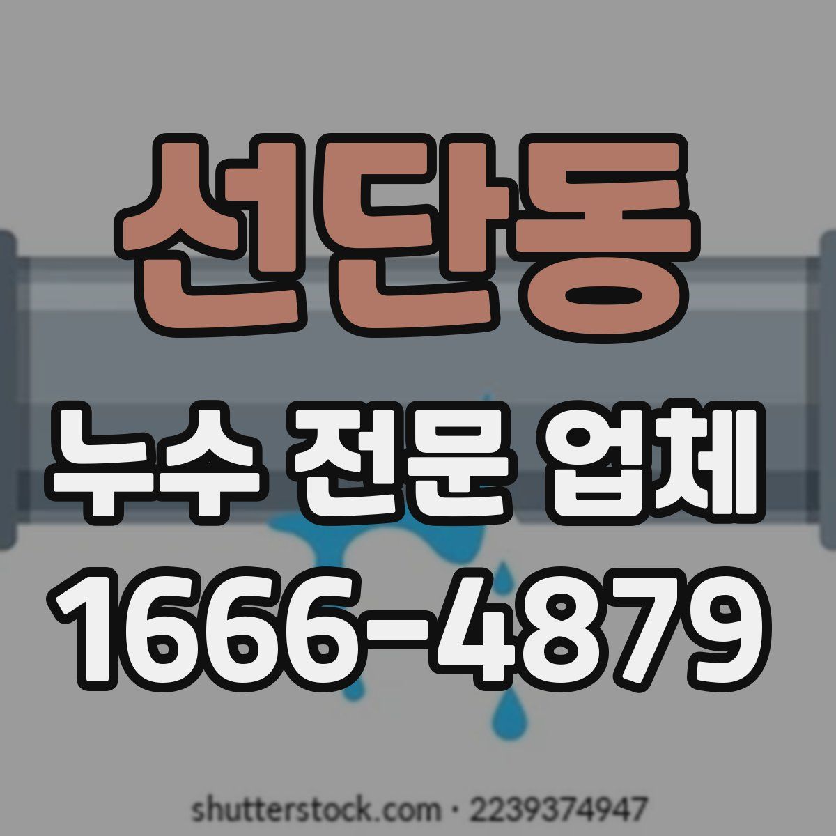 선단동 누수 전문 업체