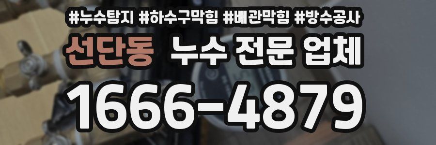 선단동 누수 전문 업체