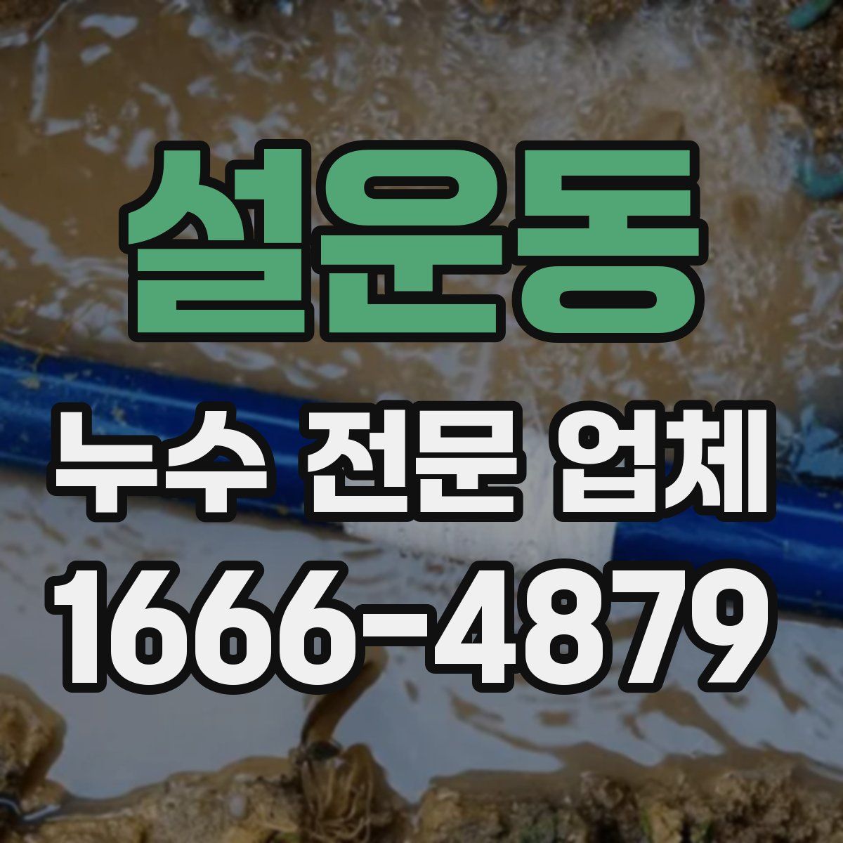 설운동 누수 전문 업체
