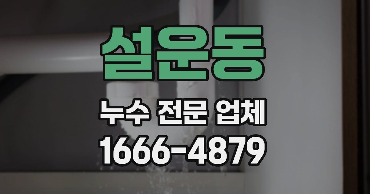 설운동 누수 전문 업체