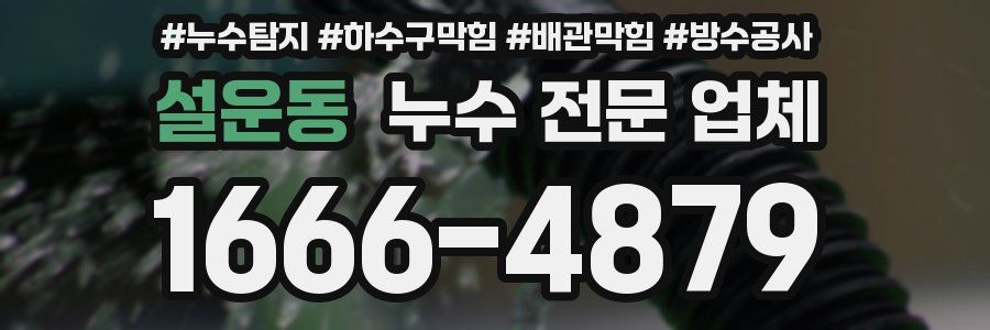 설운동 누수 전문 업체