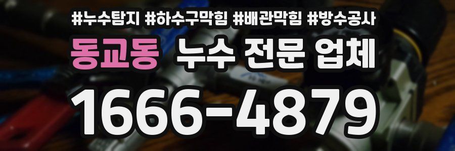 동교동 누수 전문 업체