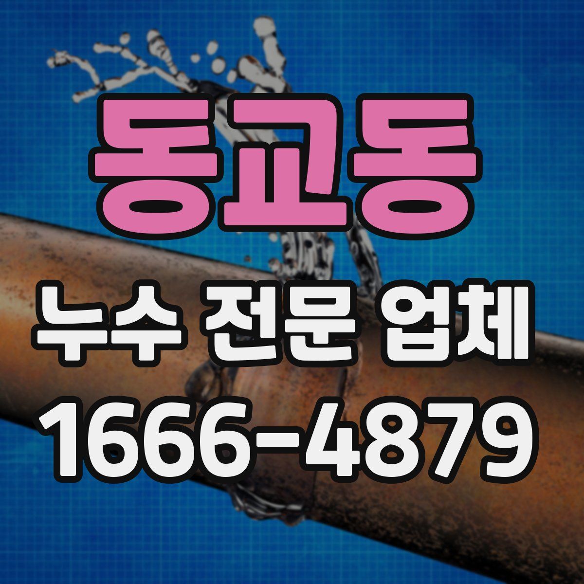동교동 누수 전문 업체