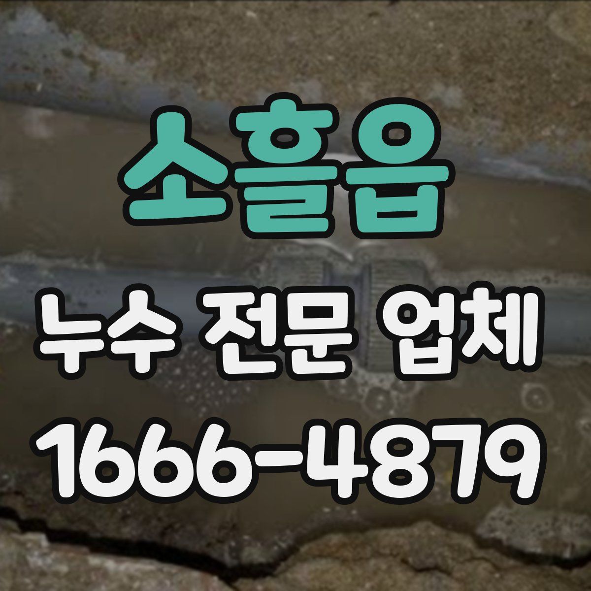 소흘읍 누수 전문 업체