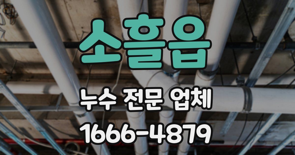 소흘읍 누수 전문 업체