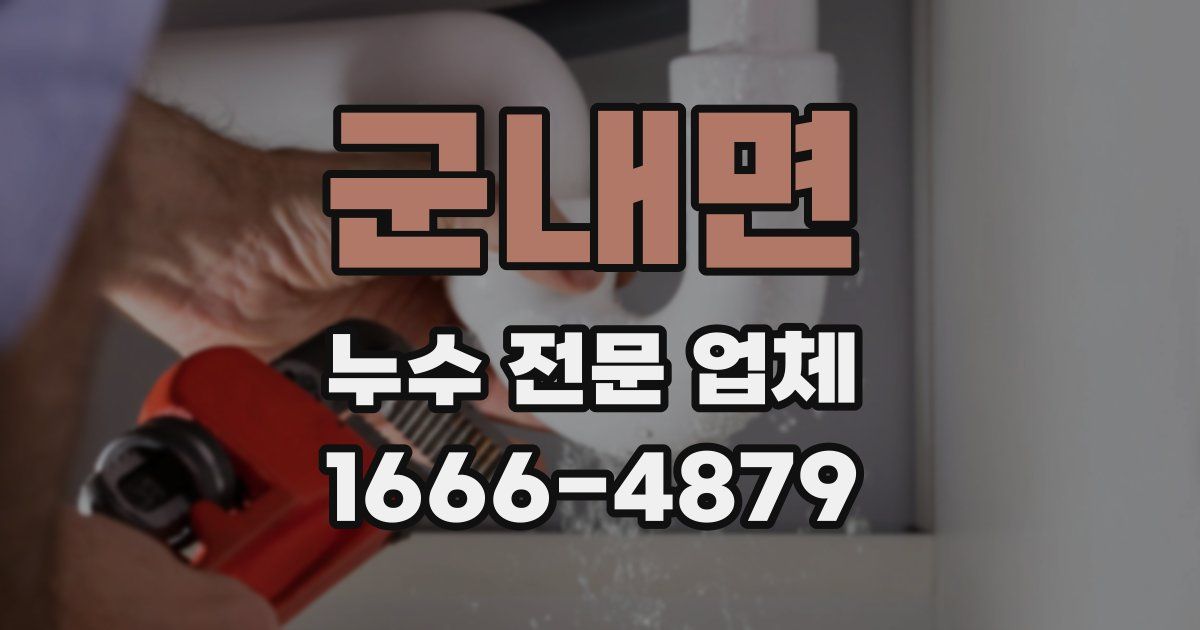 군내면 누수 전문 업체