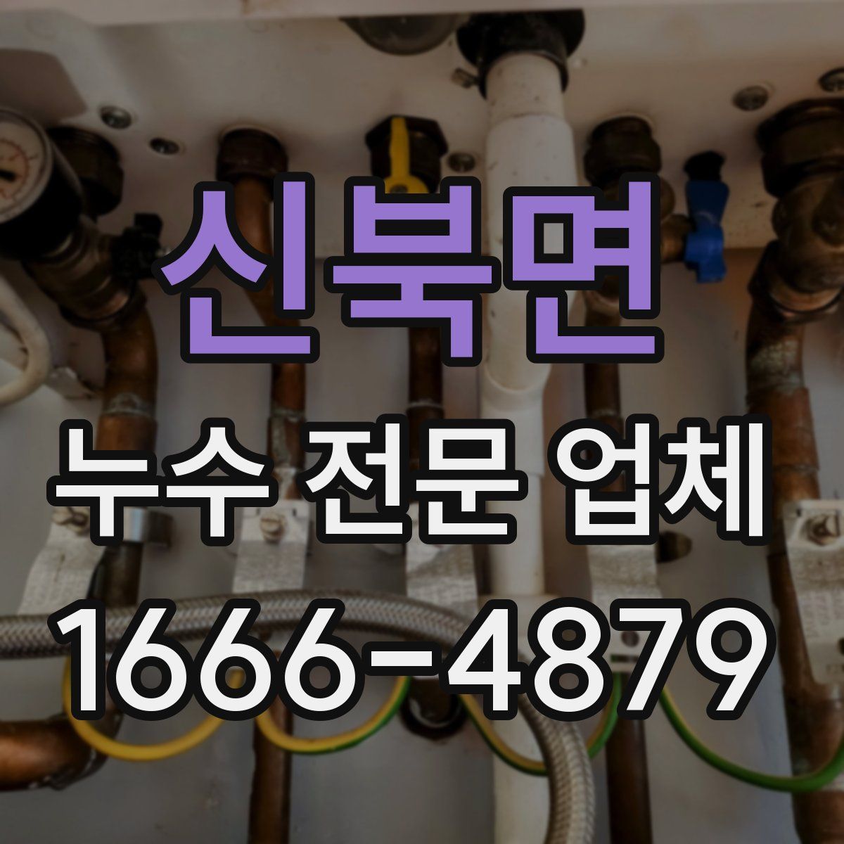 신북면 누수 전문 업체