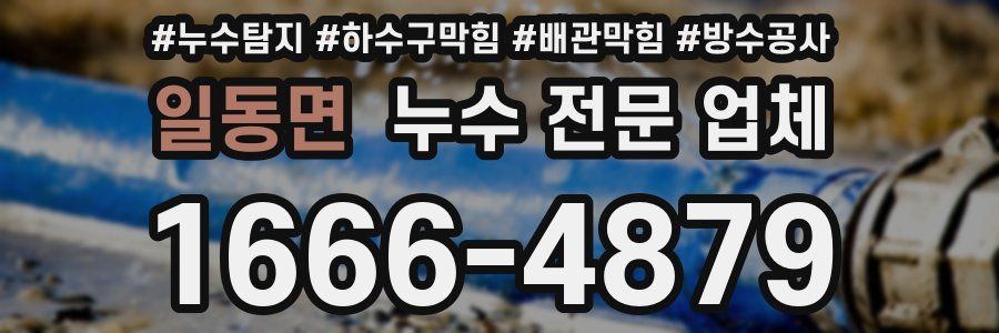 일동면 누수 전문 업체